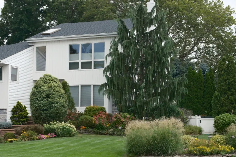 The Front Yard Is Selling You a Story — And You're Buying It Before You Even Walk Through the Door